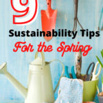Ecofriendly tips for Spring