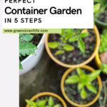 Perfect Container Garden in 5 Easy Steps