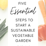 Start a sustainble vegetable garden