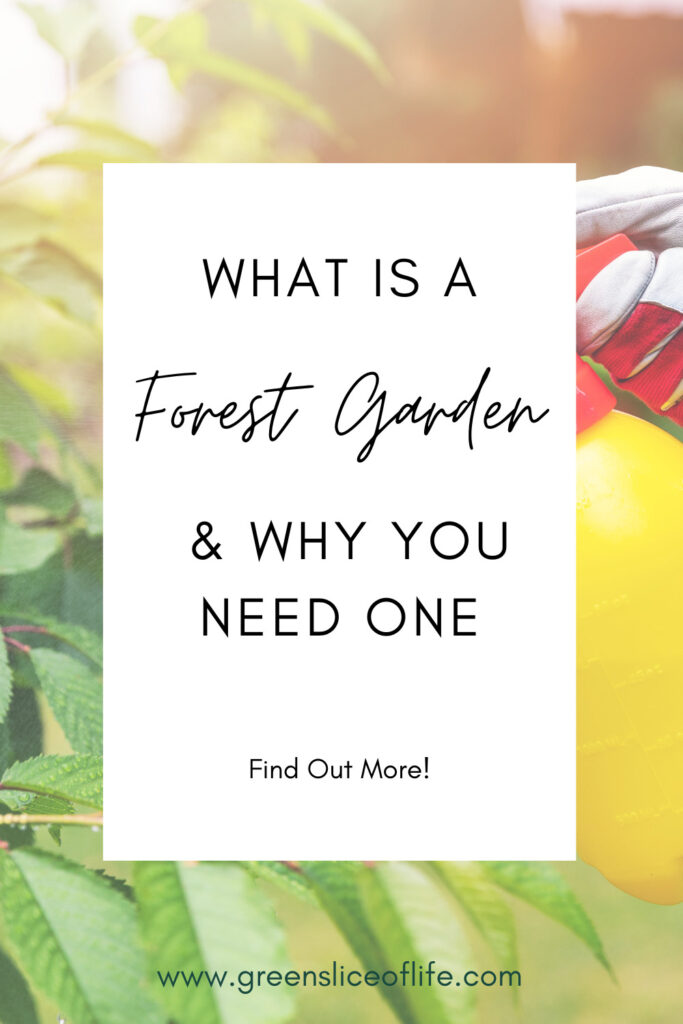 What is a Forest Garden