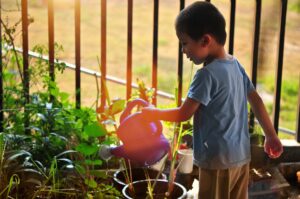 Celebrating Earth Day with Kids by planting a garden